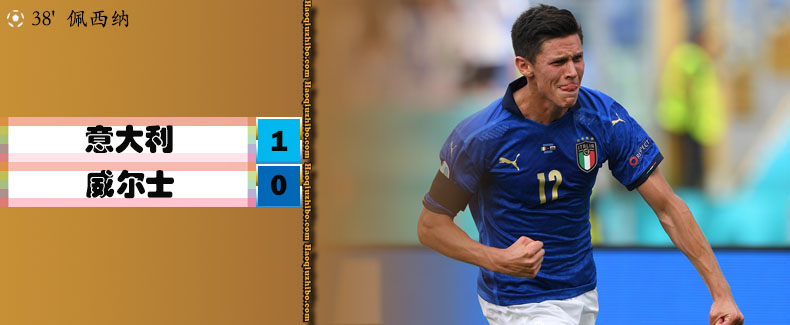 欧洲杯A组第3轮 意大利1-0威尔士