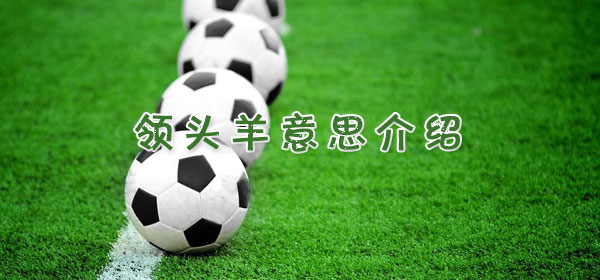领头羊​是什么意思_足球比赛领头羊​意思介绍