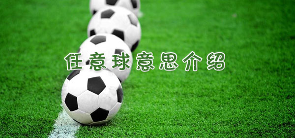 任意球是什么意思_任意球意思介绍