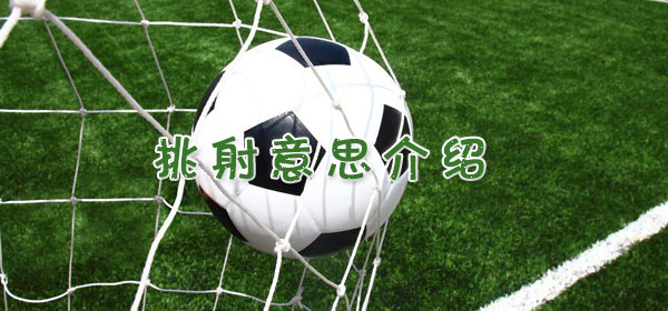 挑射是什么意思_挑射意思介绍